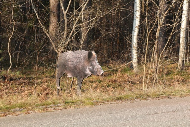 4ec69c21ddc91e0f05ff7d64a00a969c (1).jpeg